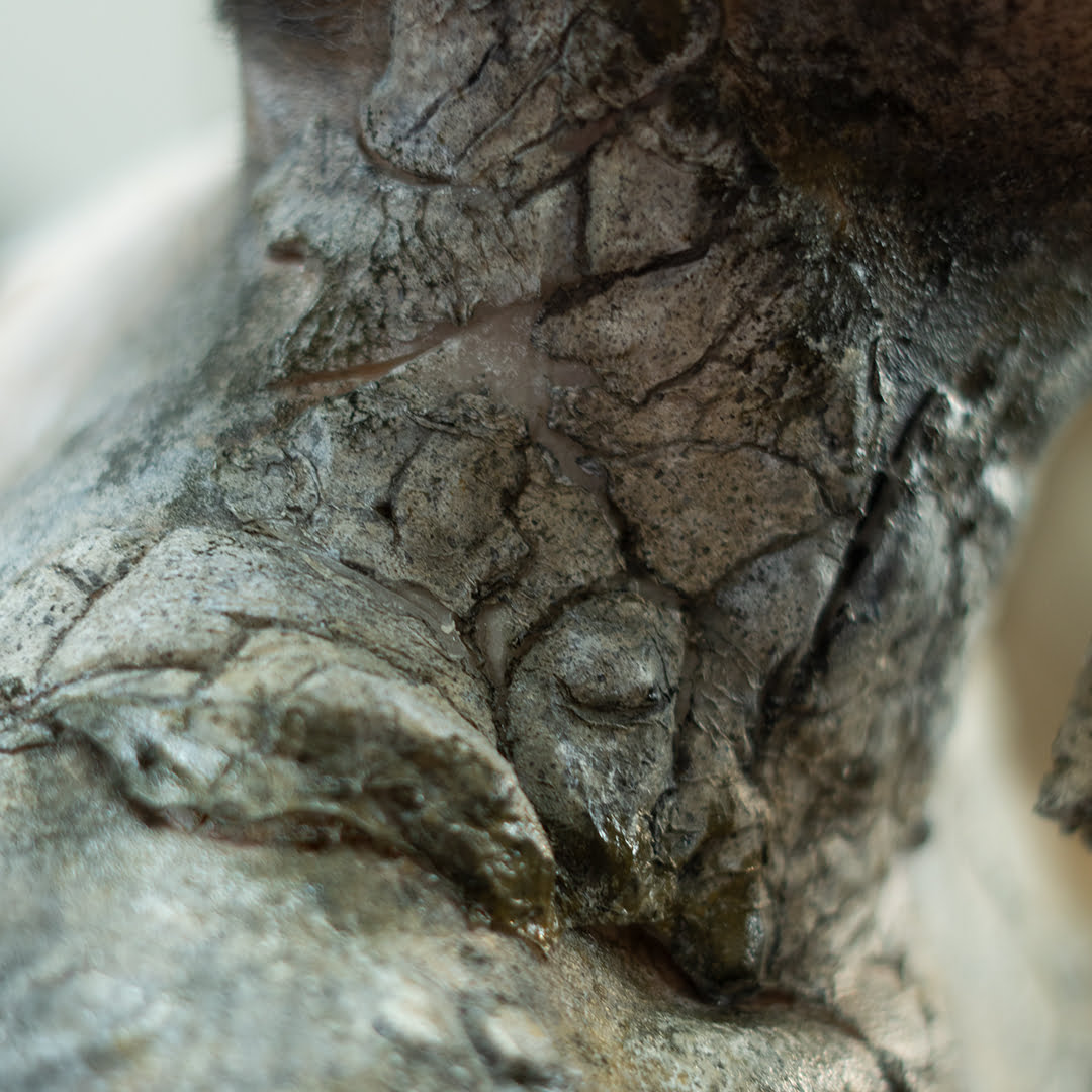 Навчання Пластичний Грим Київ